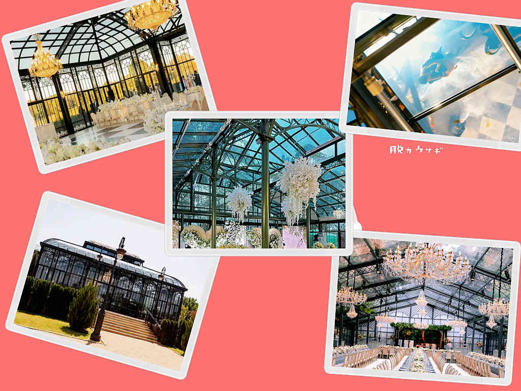 A Glasshouse Wedding: Where Your Love Story Blooms